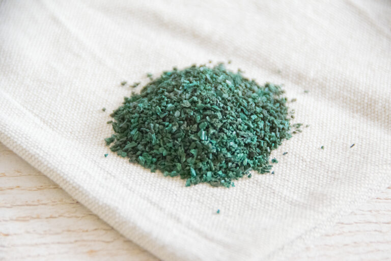 Les Bienfaits De La Spiruline Cassandre Gloria